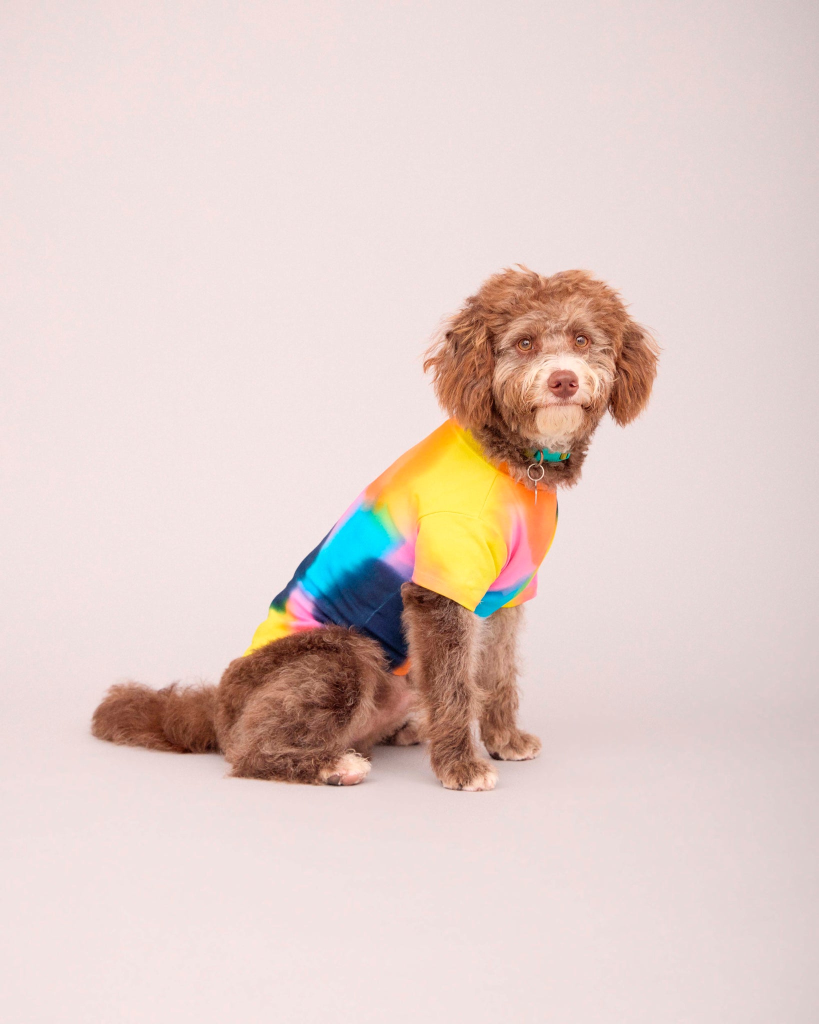 OWNER/DOG T-SHIRT HAND PAINTED SET MULTI COLOUR ( PRE-ORDER)