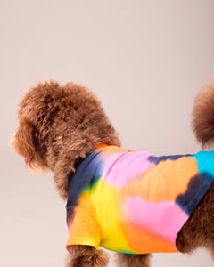 DOG T-SHIRT WITH MATCHING SCARF SET MULTI COLOUR (PRE-ORDER)