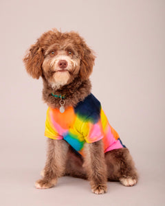 OWNER/DOG T-SHIRT HAND PAINTED SET MULTI COLOUR ( PRE-ORDER)