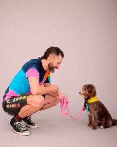 DOG T-SHIRT WITH MATCHING SCARF SET MULTI COLOUR (PRE-ORDER)