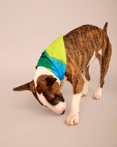 OWNER-T-SHIRT DOG-SCARF HAND PAINTED SET BLUE/DEEP GREEN/LIME GREEN ( PRE-ORDER)
