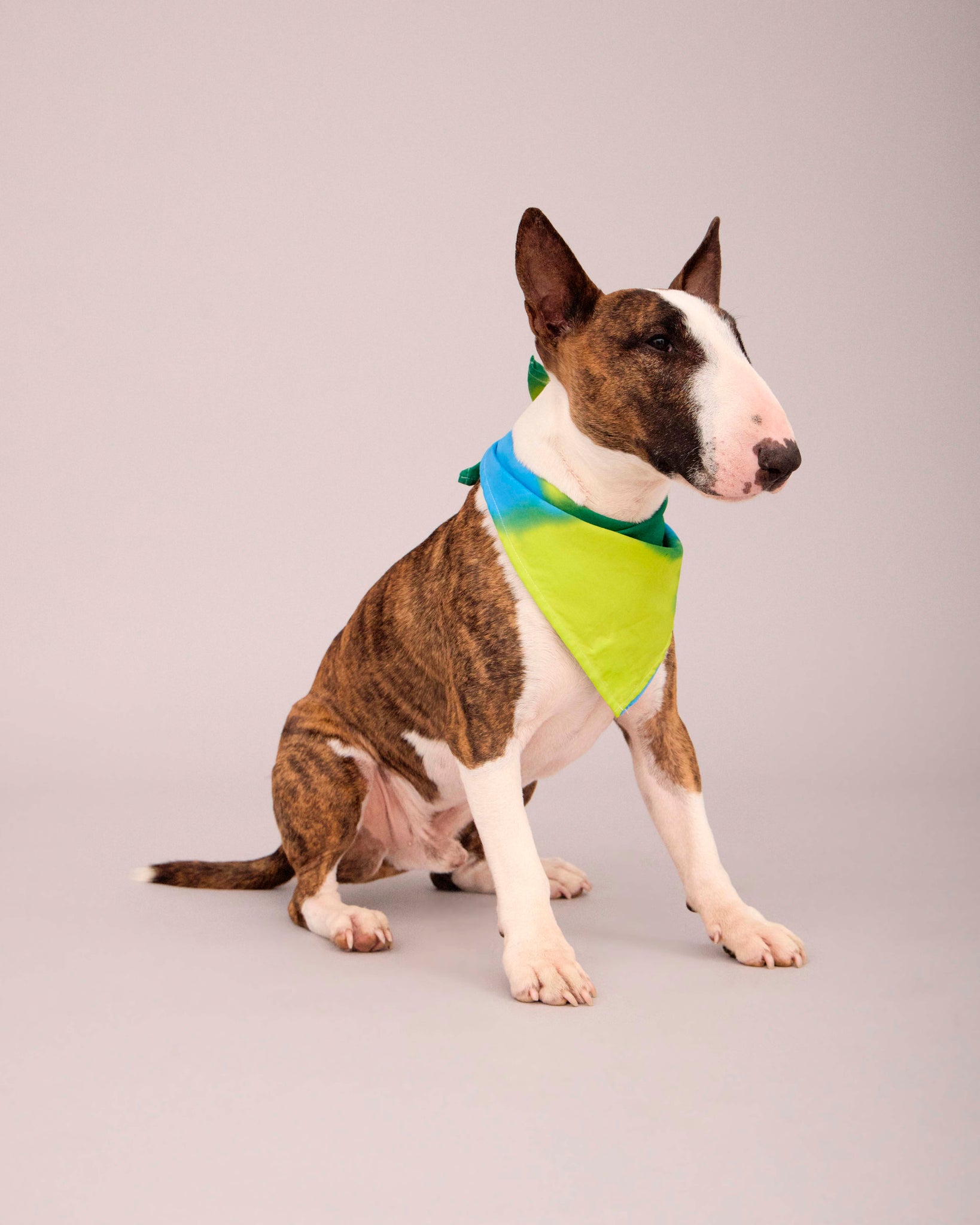 OWNER-T-SHIRT DOG-SCARF HAND PAINTED SET BLUE/DEEP GREEN/LIME GREEN ( PRE-ORDER)