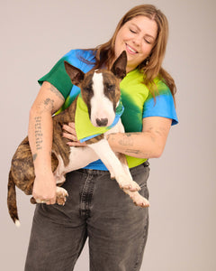 DOG T-SHIRT WITH MATCHING SCARF SET BLUE/DEEP GREEN/ LIME GREEN (PRE-ORDER)