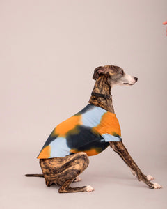 DOG T-SHIRT WITH MATCHING SCARF SET NEUTRAL COLOUR (PRE-ORDER)