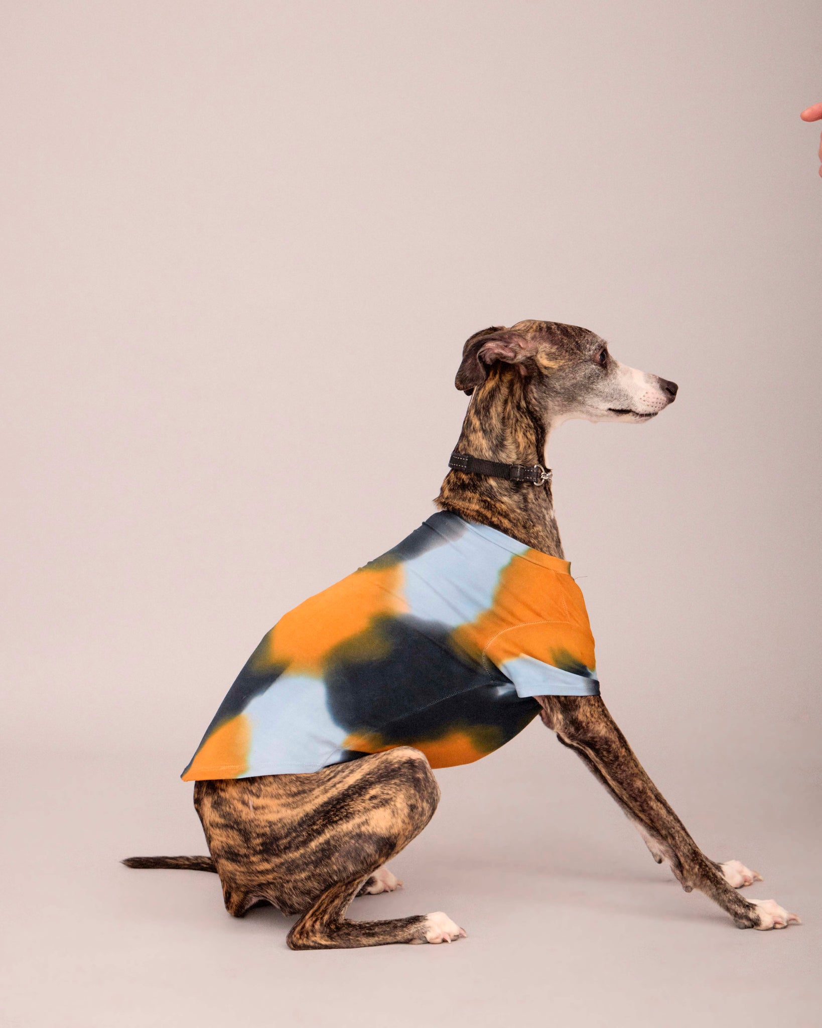 OWNER/DOG  HAND PAINTED T-SHIRT SET NEUTRAL COLOUR (PRE-ORDER)