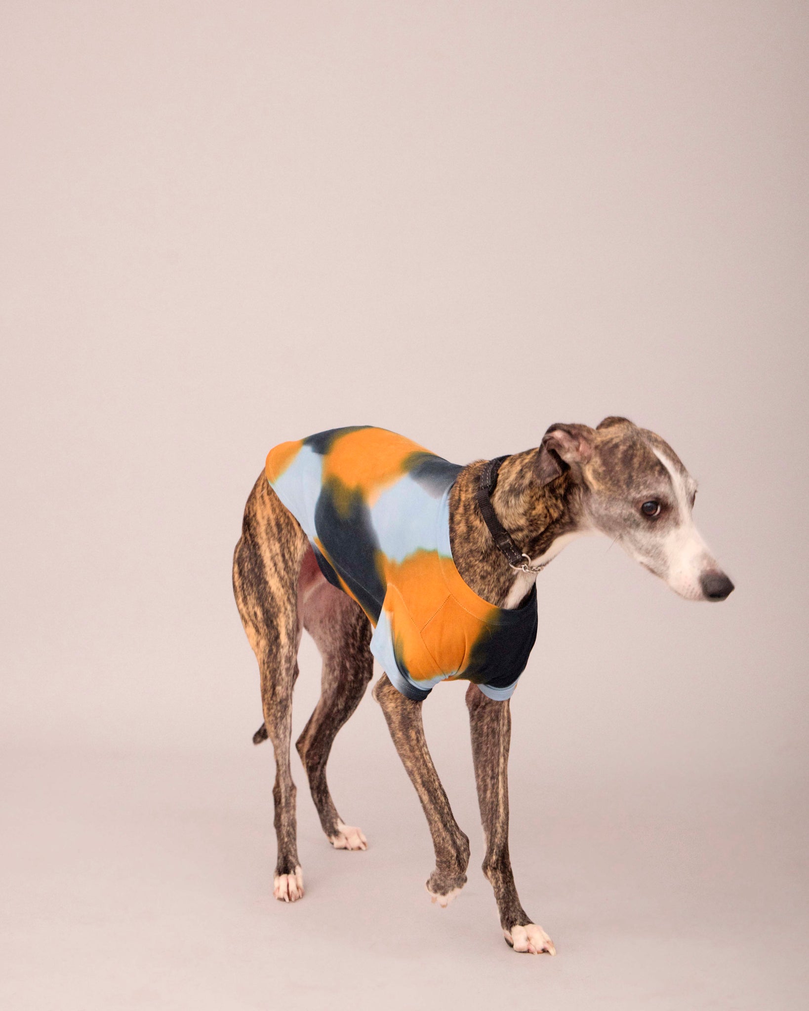DOG T-SHIRT WITH MATCHING SCARF SET NEUTRAL COLOUR (PRE-ORDER)