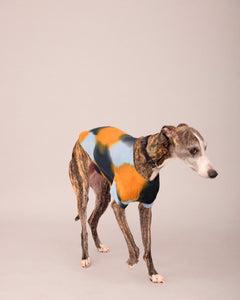 DOG T-SHIRT WITH MATCHING SCARF SET NEUTRAL COLOUR (PRE-ORDER)