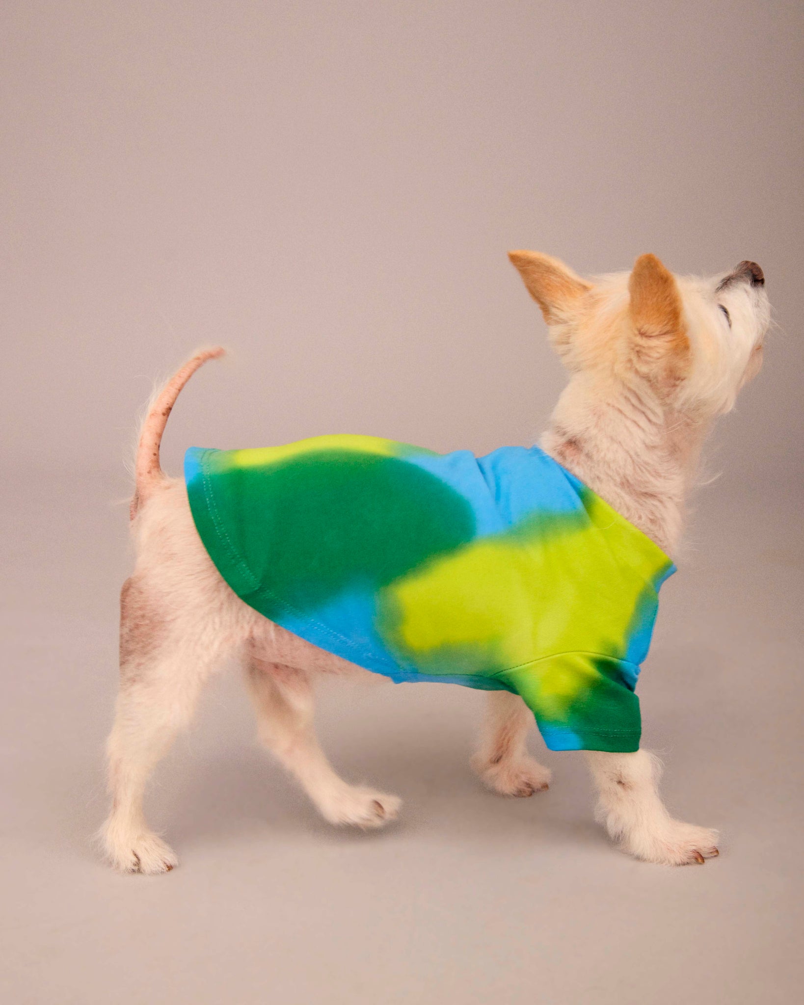 OWNER/DOG HAND PAINTED T-SHIRT SET BLUE/DEEP GREEN/LIME GREEN (PRE-ORDER)
